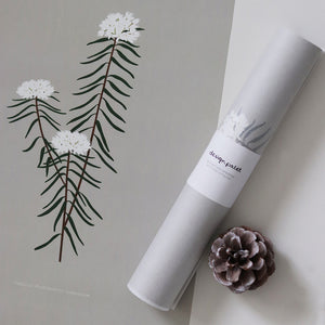 Design Tuolit Juliste Taulut ja julisteet – Design Palet